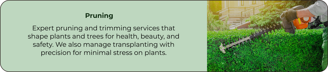 Pruning
