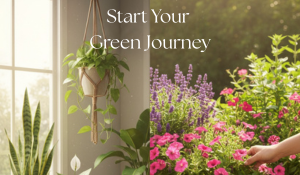 Start Your Green Journey