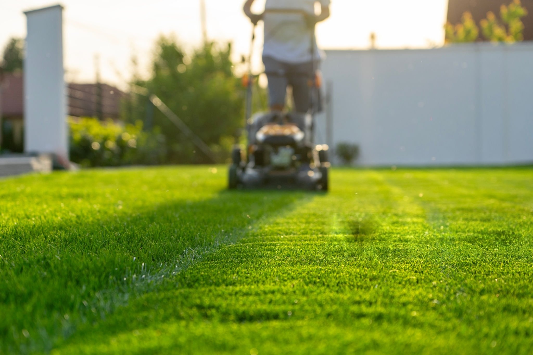 Maintenance & Grounds Care