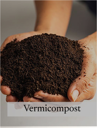 Vermicompost